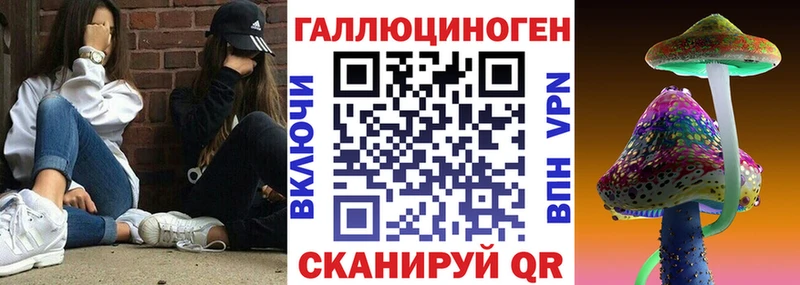 дарнет шоп  Закаменск  Псилоцибиновые грибы прущие грибы 
